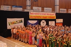 Obrázek v galerii