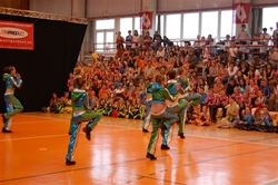 Obrázek v galerii