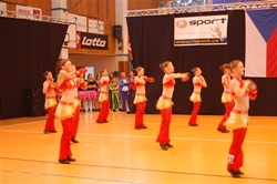 Obrázek v galerii