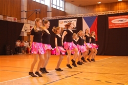 Obrázek v galerii