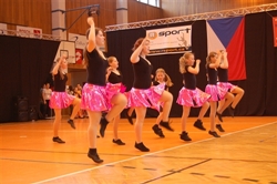 Obrázek v galerii