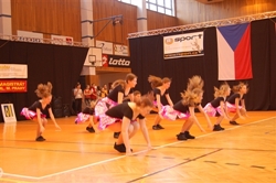 Obrázek v galerii