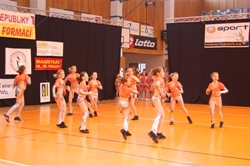 Obrázek v galerii