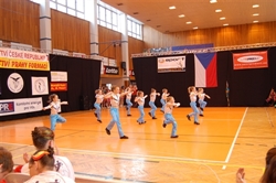 Obrázek v galerii