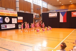 Obrázek v galerii