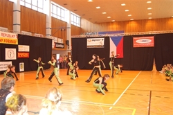 Obrázek v galerii