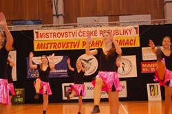 Obrázek v galerii
