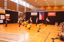 Obrázek v galerii