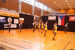 Obrázek v galerii
