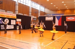 Obrázek v galerii