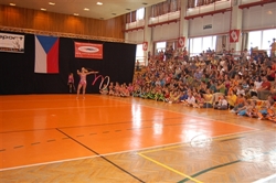 Obrázek v galerii