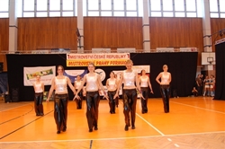 Obrázek v galerii