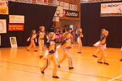 Obrázek v galerii
