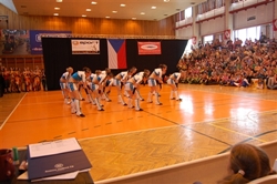 Obrázek v galerii
