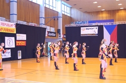 Obrázek v galerii