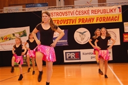 Obrázek v galerii