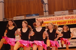 Obrázek v galerii