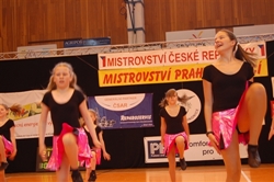 Obrázek v galerii