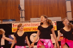 Obrázek v galerii