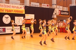 Obrázek v galerii