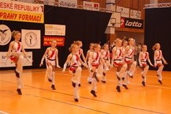 Obrázek v galerii
