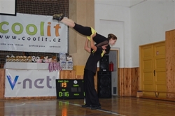 Vánoční cena (Vlaštovka)