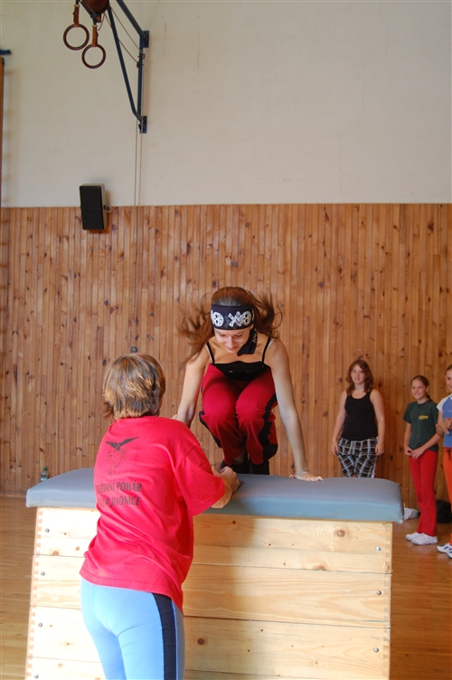 Obrázek v galerii
