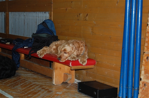 Obrázek v galerii