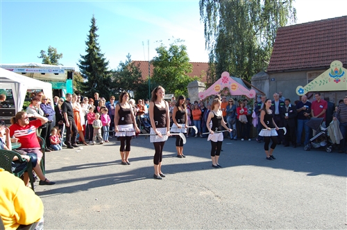 Obrázek v galerii