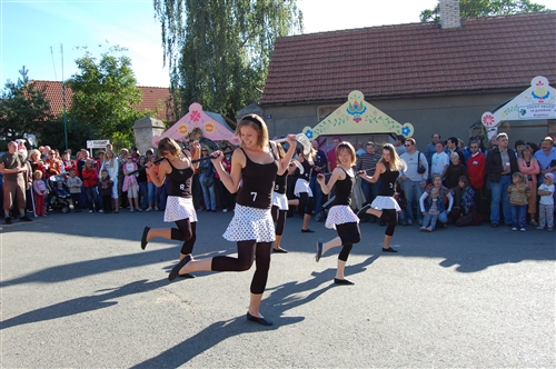 Obrázek v galerii