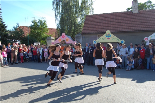 Obrázek v galerii
