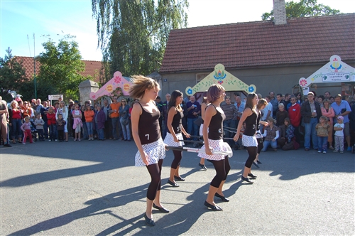 Obrázek v galerii