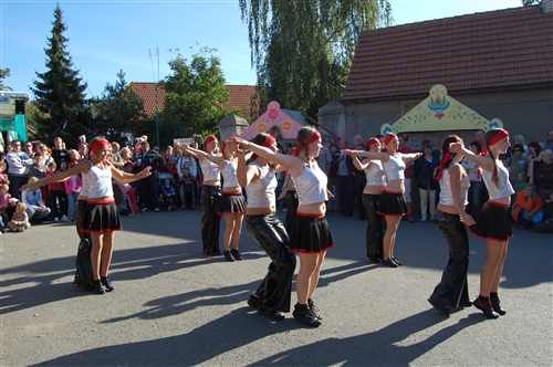 Obrázek v galerii