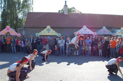 Obrázek v galerii