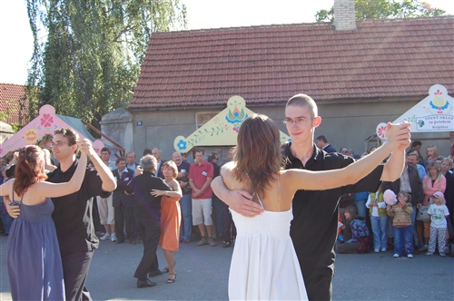 Obrázek v galerii