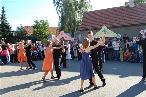 Obrázek v galerii