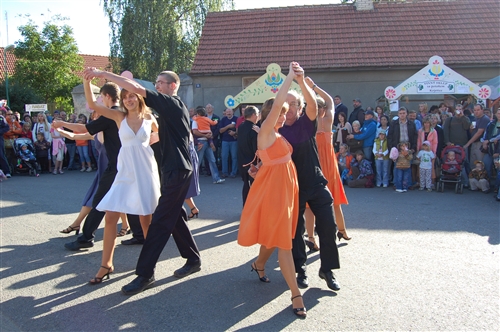 Obrázek v galerii