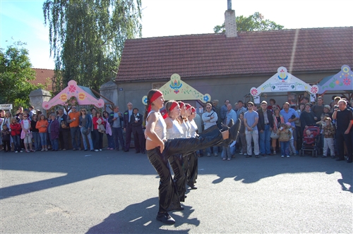 Obrázek v galerii