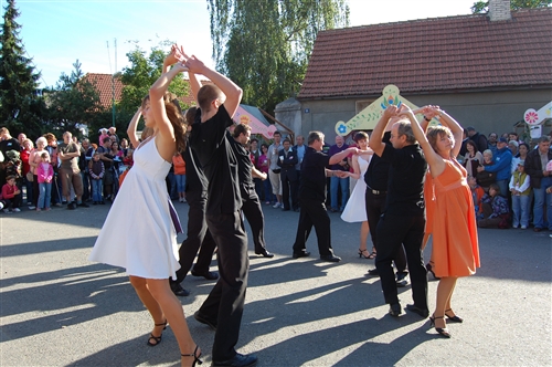 Obrázek v galerii