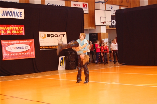 Obrázek v galerii