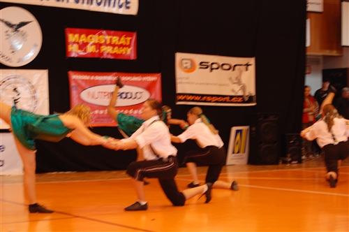 Obrázek v galerii