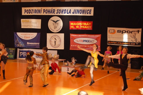 Obrázek v galerii