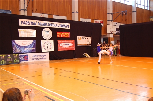 Obrázek v galerii