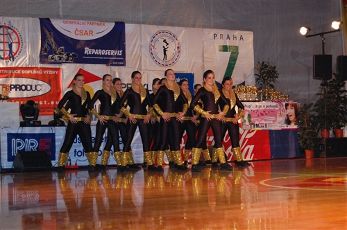 Obrázek v galerii
