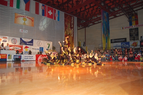Obrázek v galerii