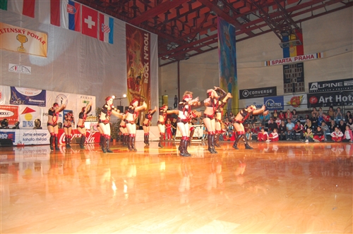 Obrázek v galerii