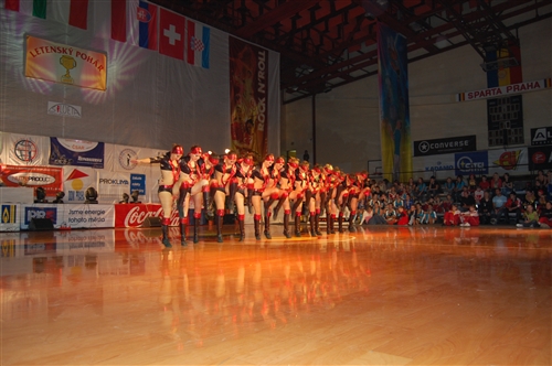 Obrázek v galerii