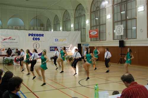 Obrázek v galerii