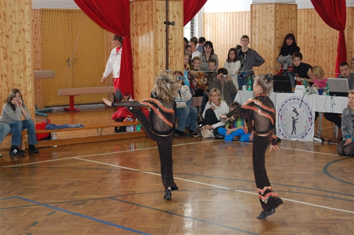 Obrázek v galerii