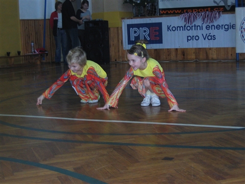 Obrázek v galerii